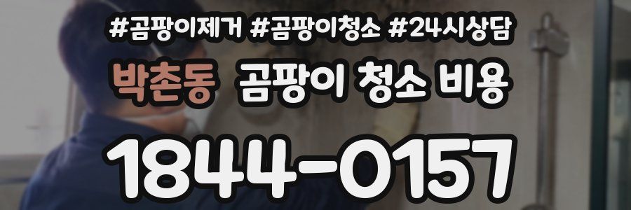 박촌동 곰팡이 청소 비용