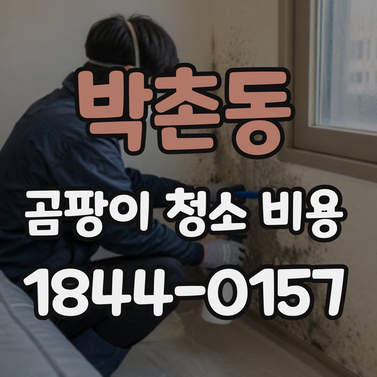 박촌동 곰팡이 청소 비용