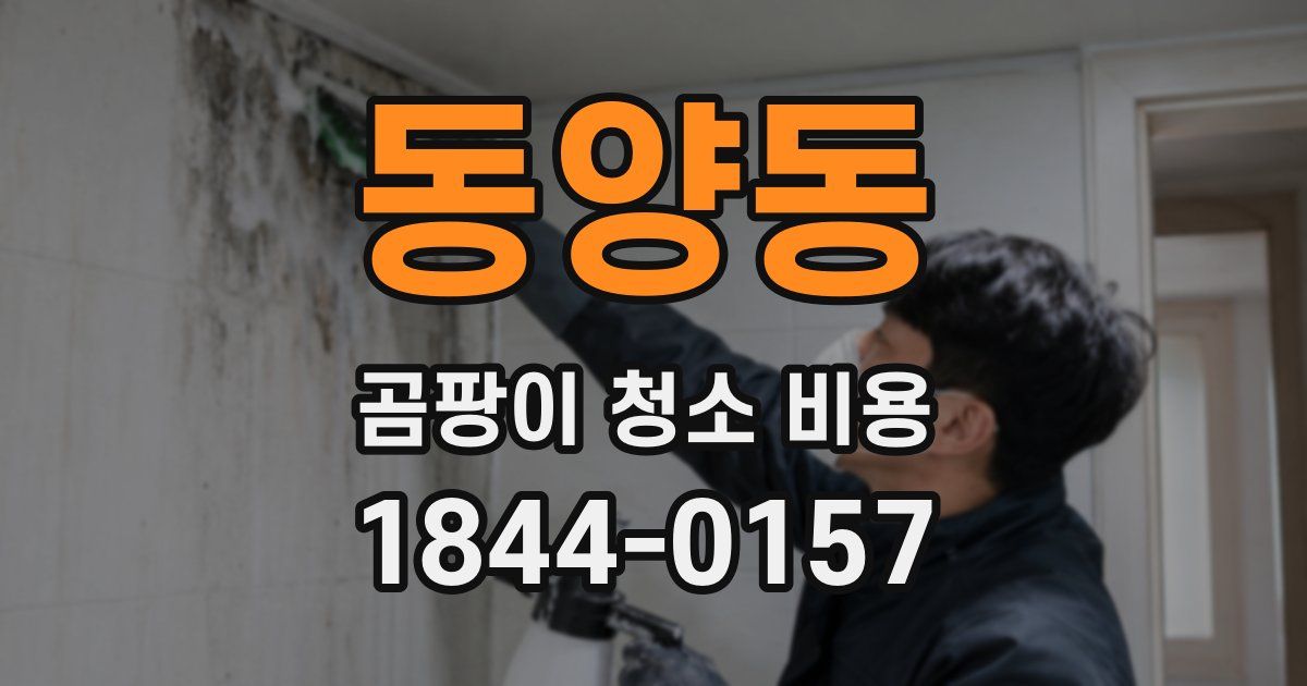 동양동 곰팡이 청소 비용