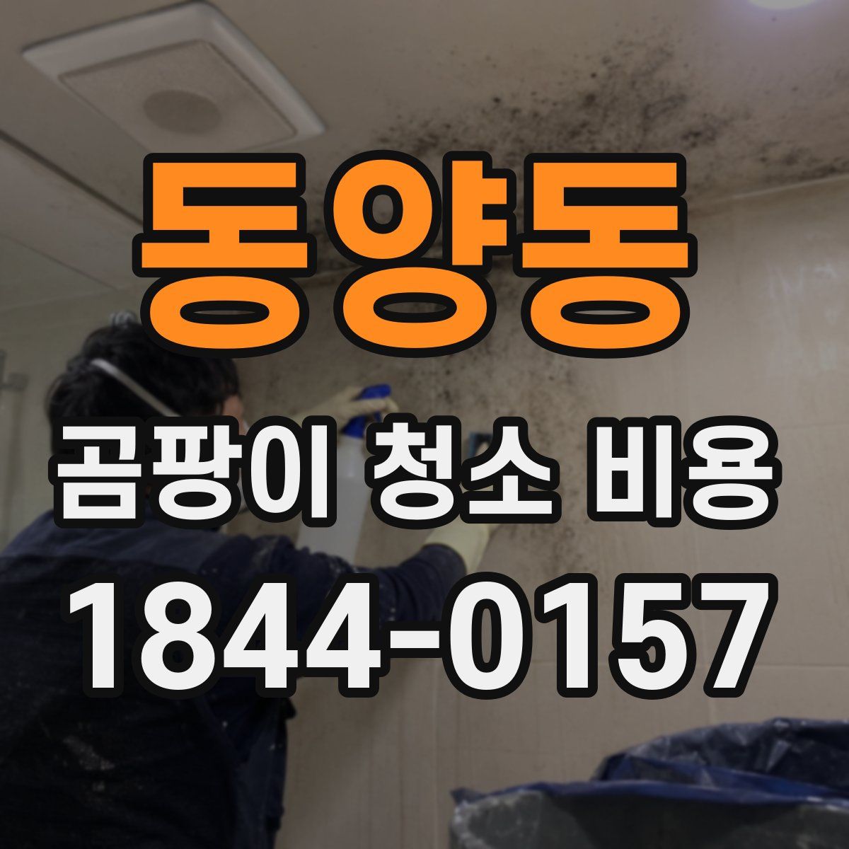 동양동 곰팡이 청소 비용