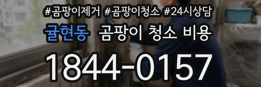 귤현동 곰팡이 청소 비용
