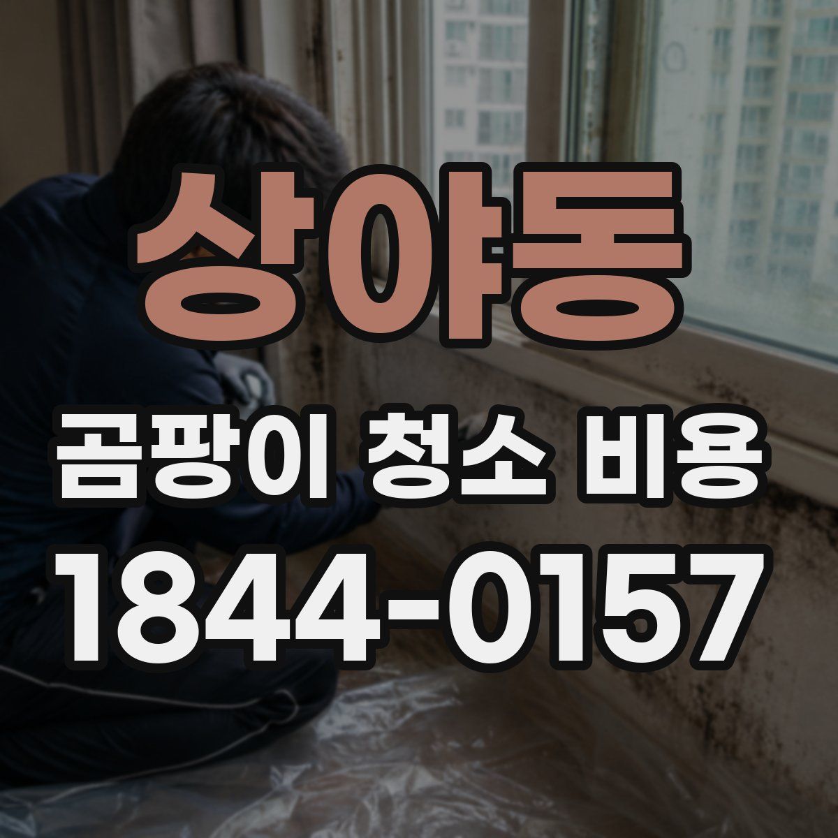 상야동 곰팡이 청소 비용