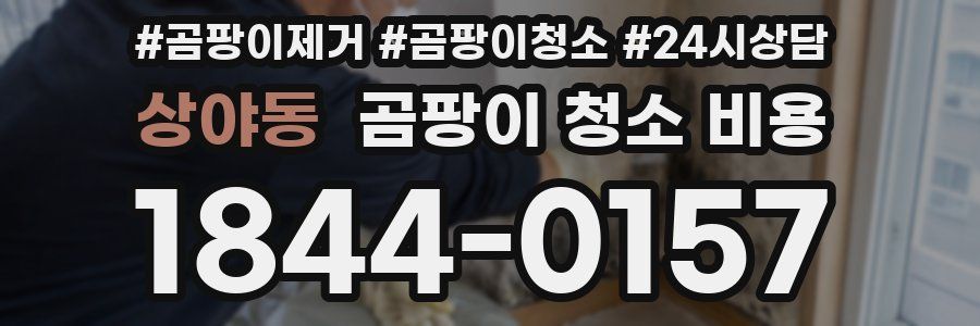 상야동 곰팡이 청소 비용
