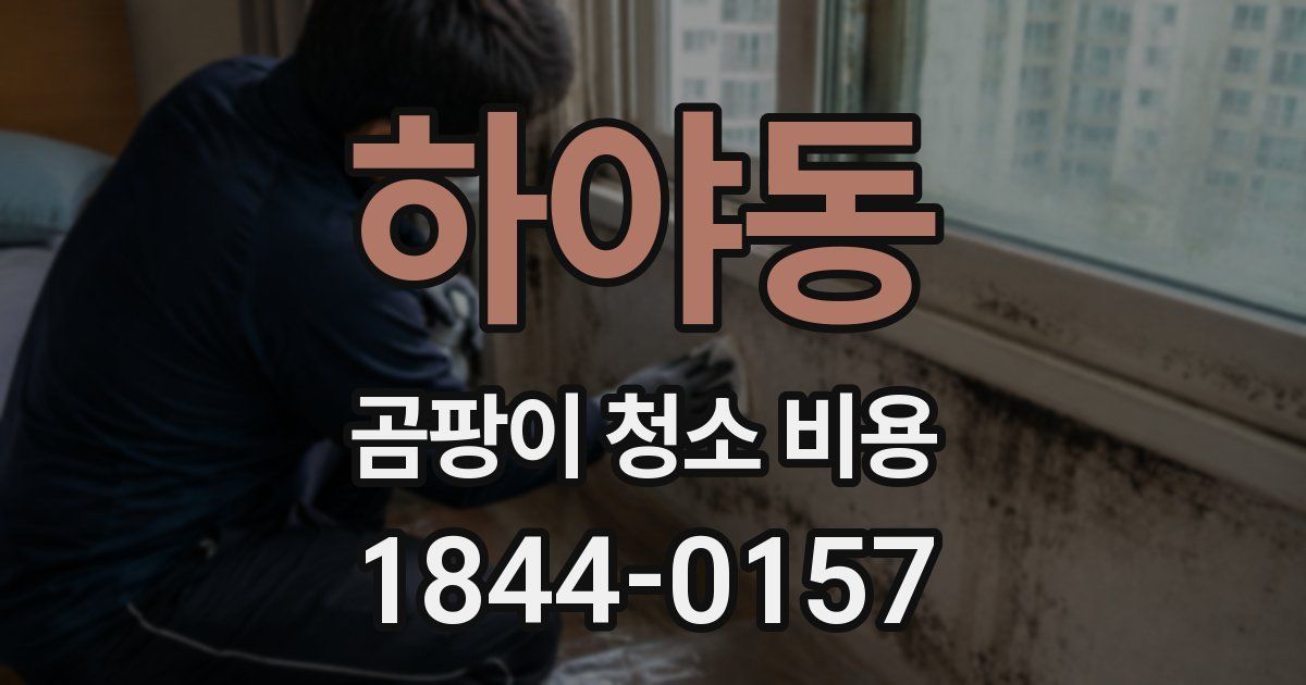 하야동 곰팡이 청소 비용