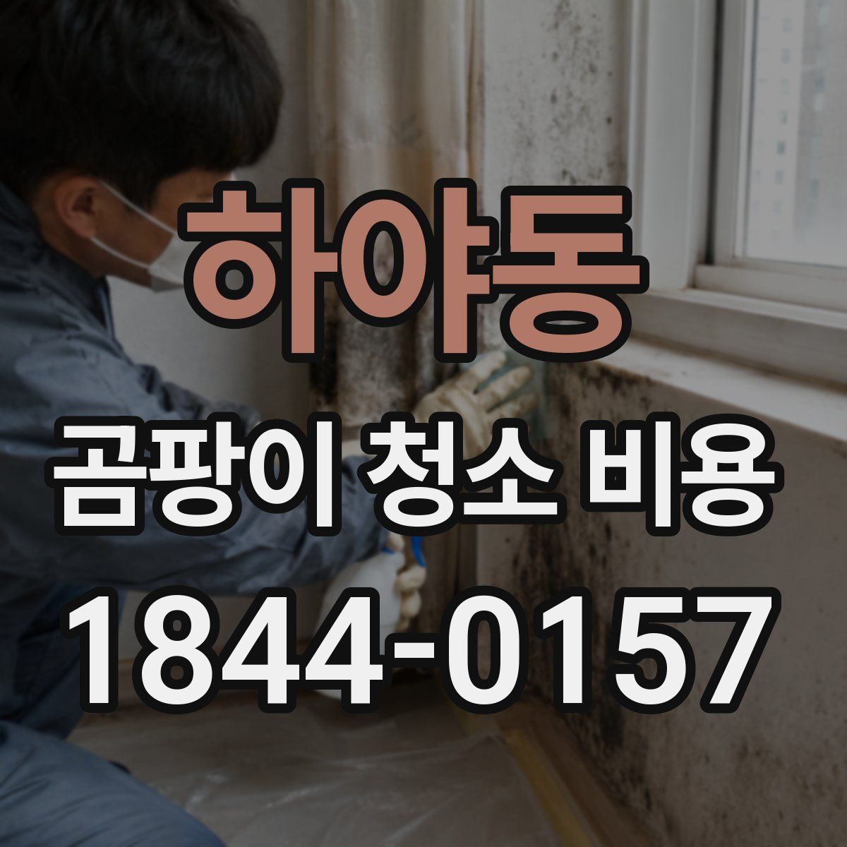 하야동 곰팡이 청소 비용