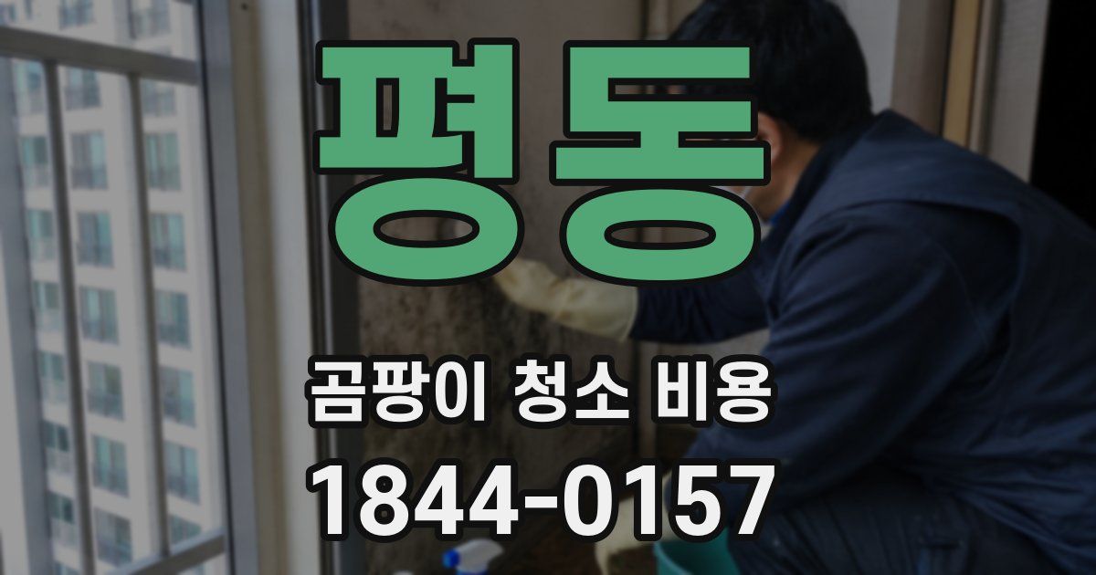 평동 곰팡이 청소 비용