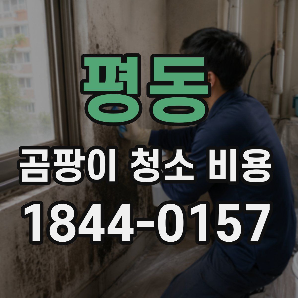 평동 곰팡이 청소 비용