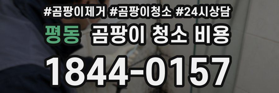 평동 곰팡이 청소 비용