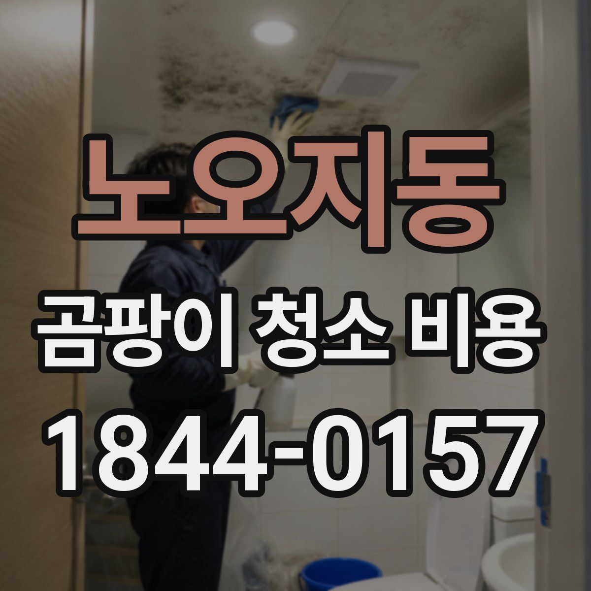 노오지동 곰팡이 청소 비용