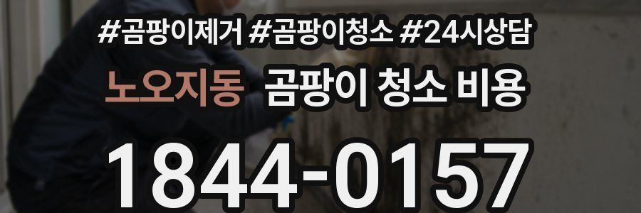 노오지동 곰팡이 청소 비용