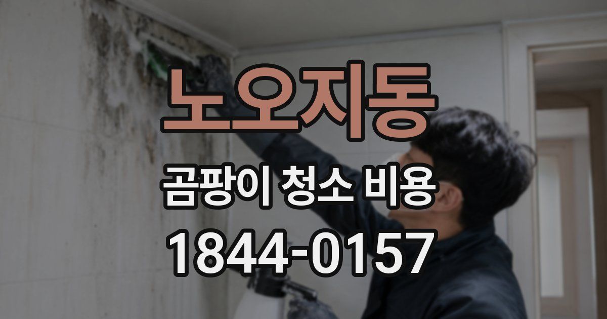 노오지동 곰팡이 청소 비용