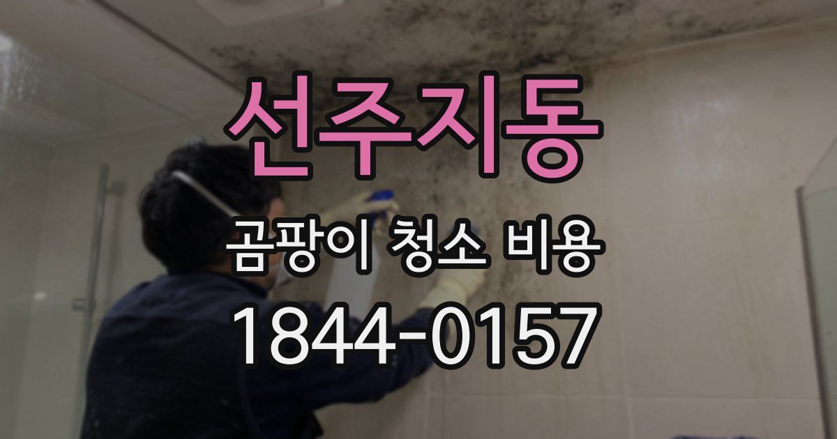 선주지동 곰팡이 청소 비용