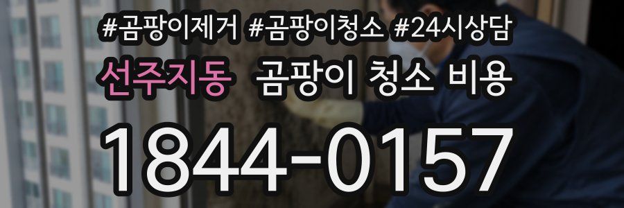 선주지동 곰팡이 청소 비용