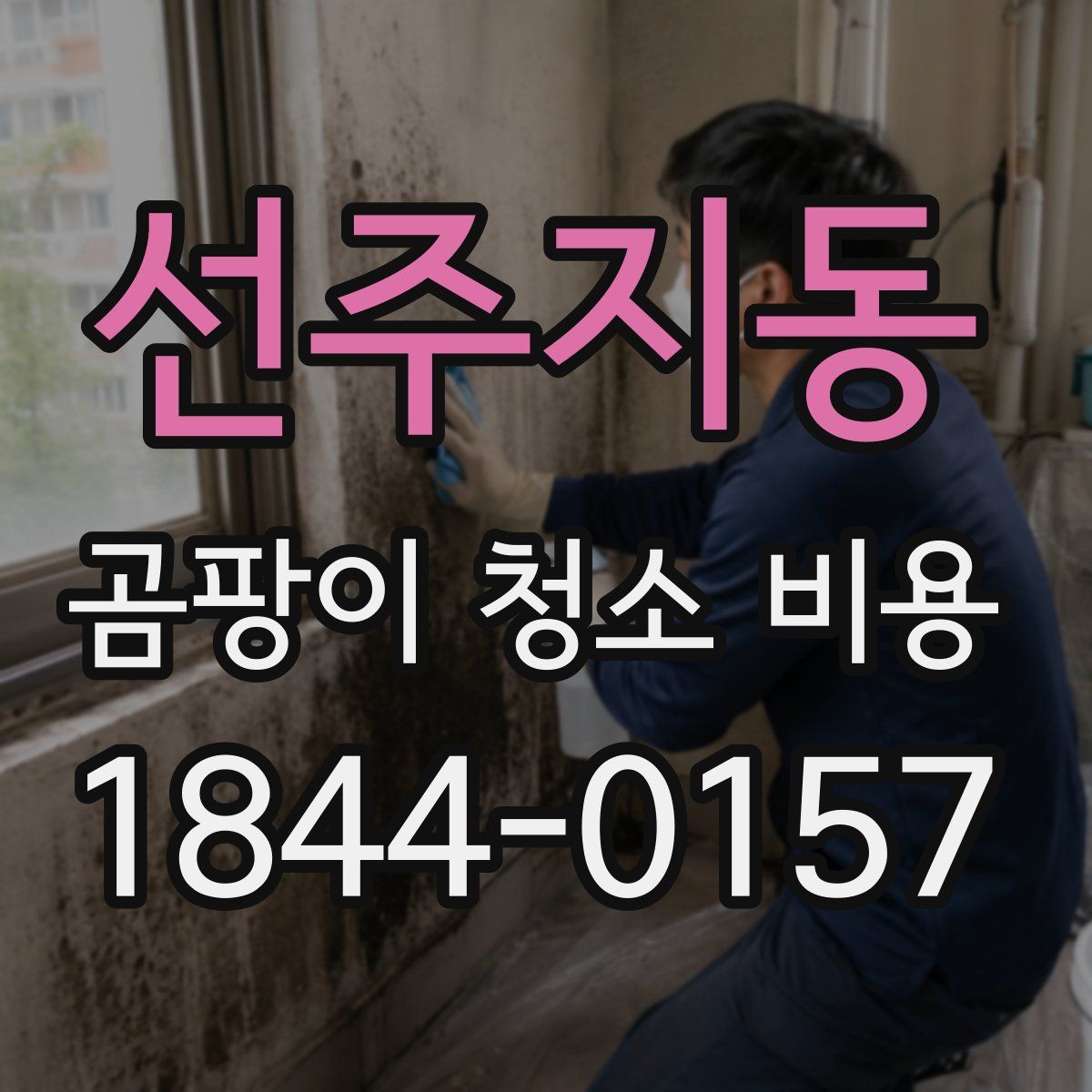 선주지동 곰팡이 청소 비용