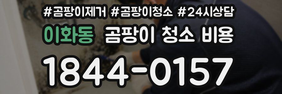 이화동 곰팡이 청소 비용