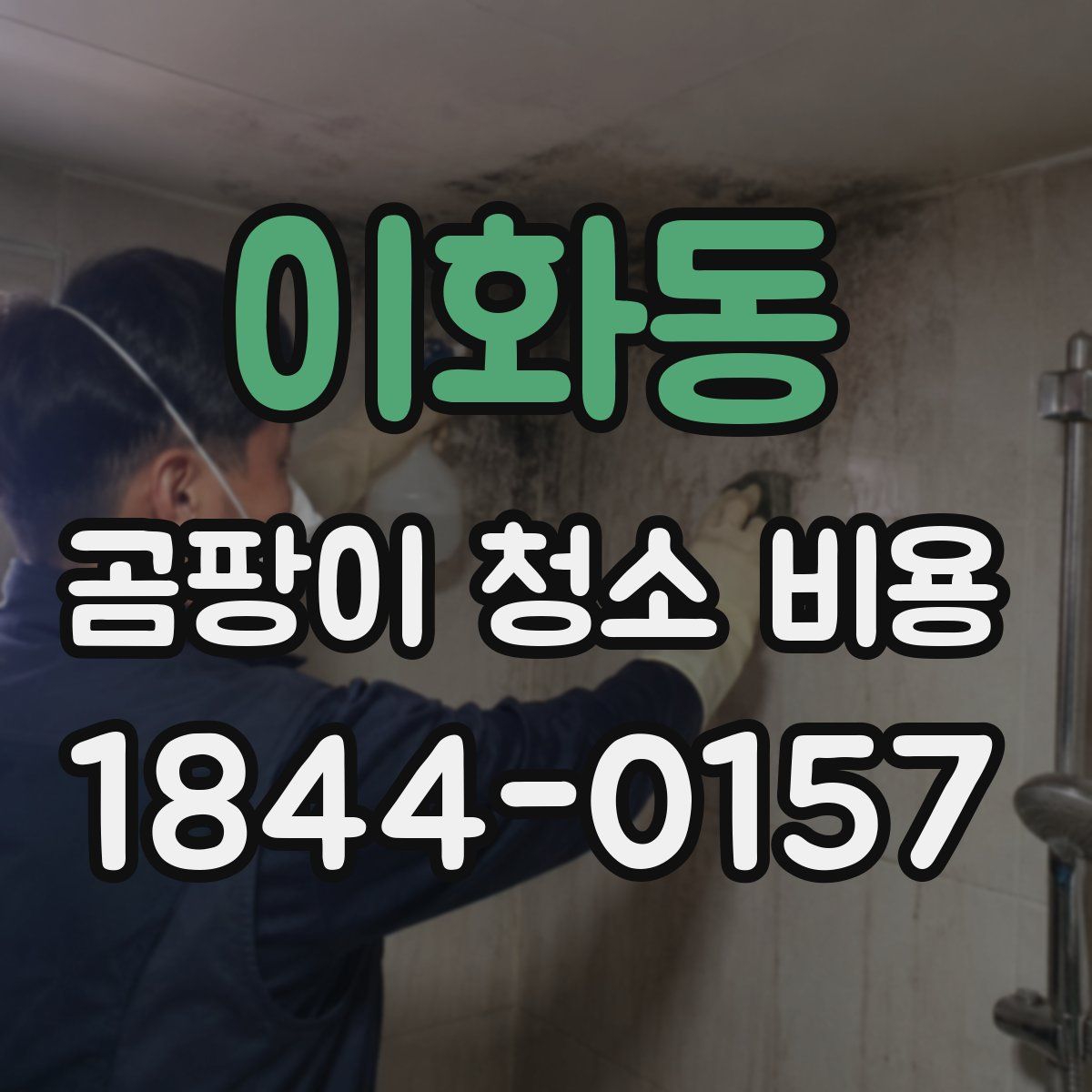 이화동 곰팡이 청소 비용
