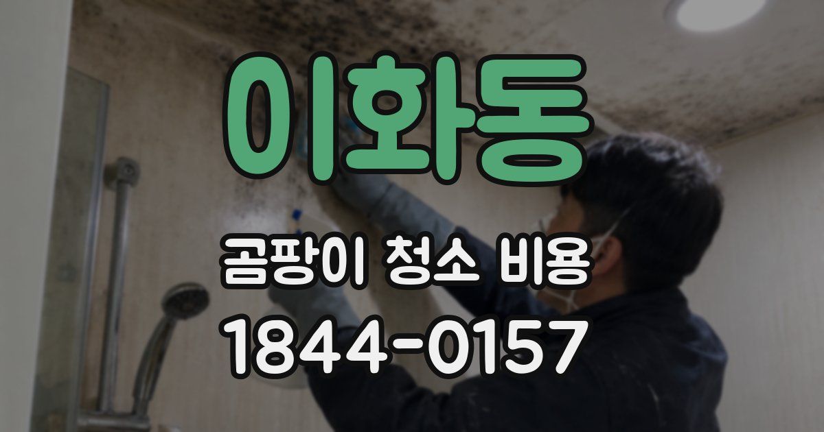 이화동 곰팡이 청소 비용