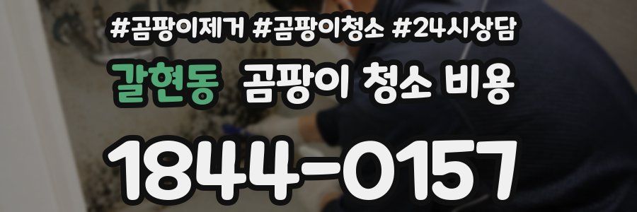 갈현동 곰팡이 청소 비용