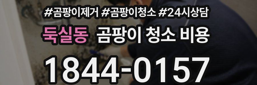 둑실동 곰팡이 청소 비용