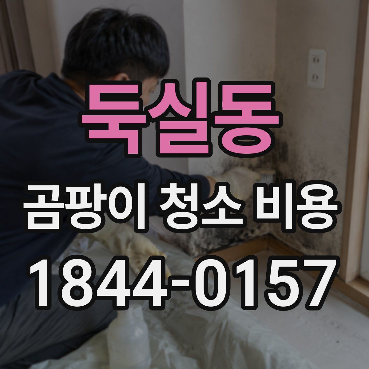 둑실동 곰팡이 청소 비용