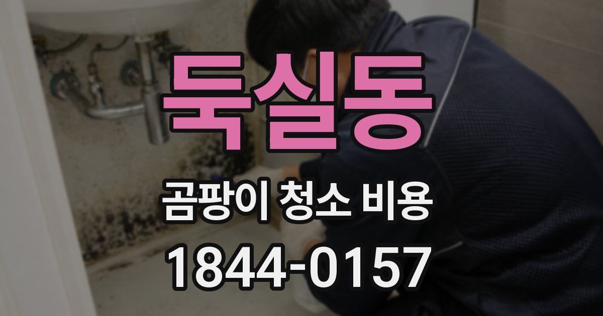 둑실동 곰팡이 청소 비용