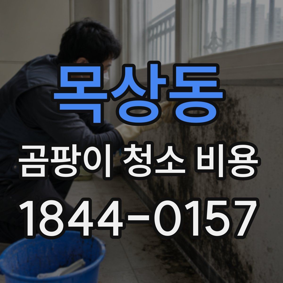 목상동 곰팡이 청소 비용 약품 잔류와 냄새를 확인하는 방법
