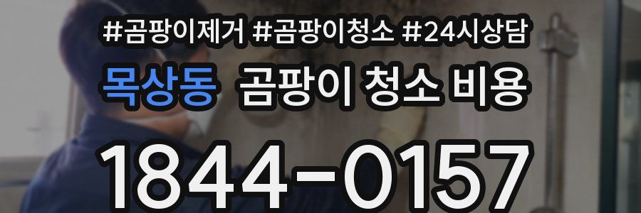 목상동 곰팡이 청소 비용