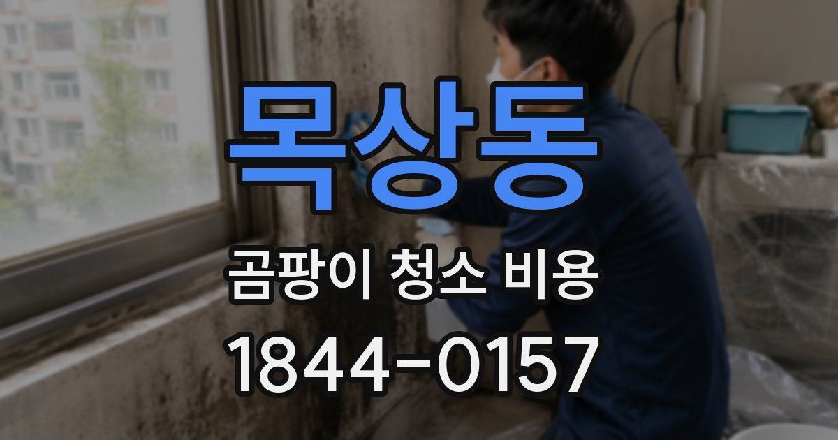 목상동 곰팡이 청소 비용