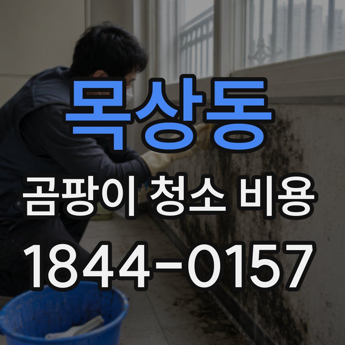 목상동 곰팡이 청소 비용