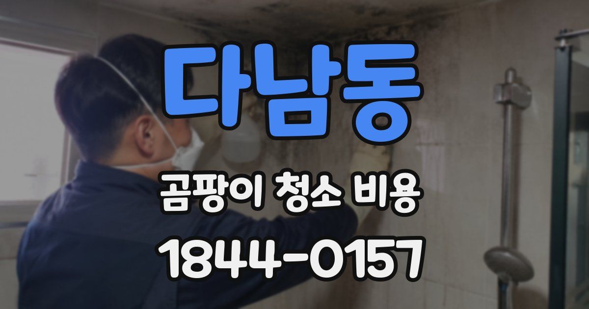 다남동 곰팡이 청소 비용