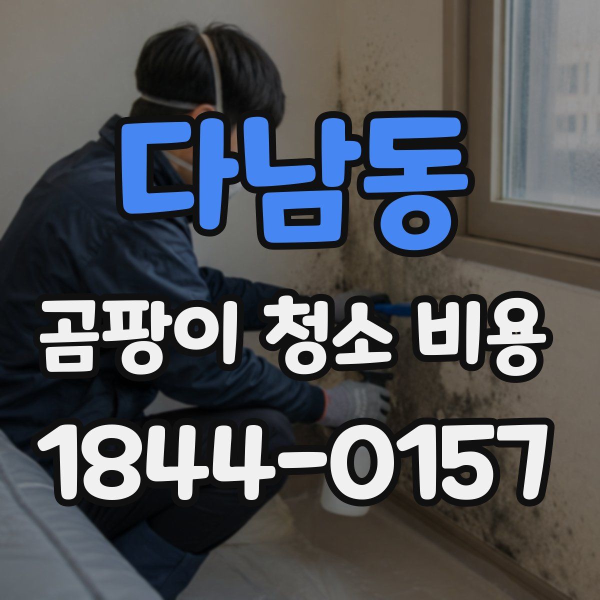 다남동 곰팡이 청소 비용