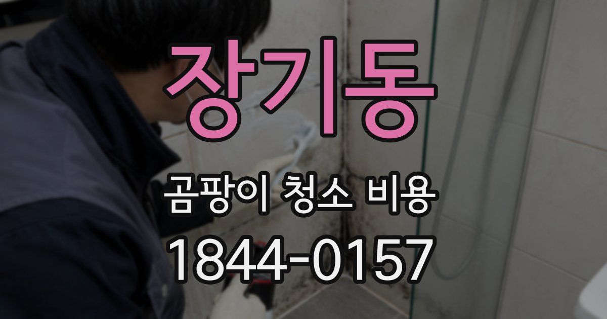 장기동 곰팡이 청소 비용