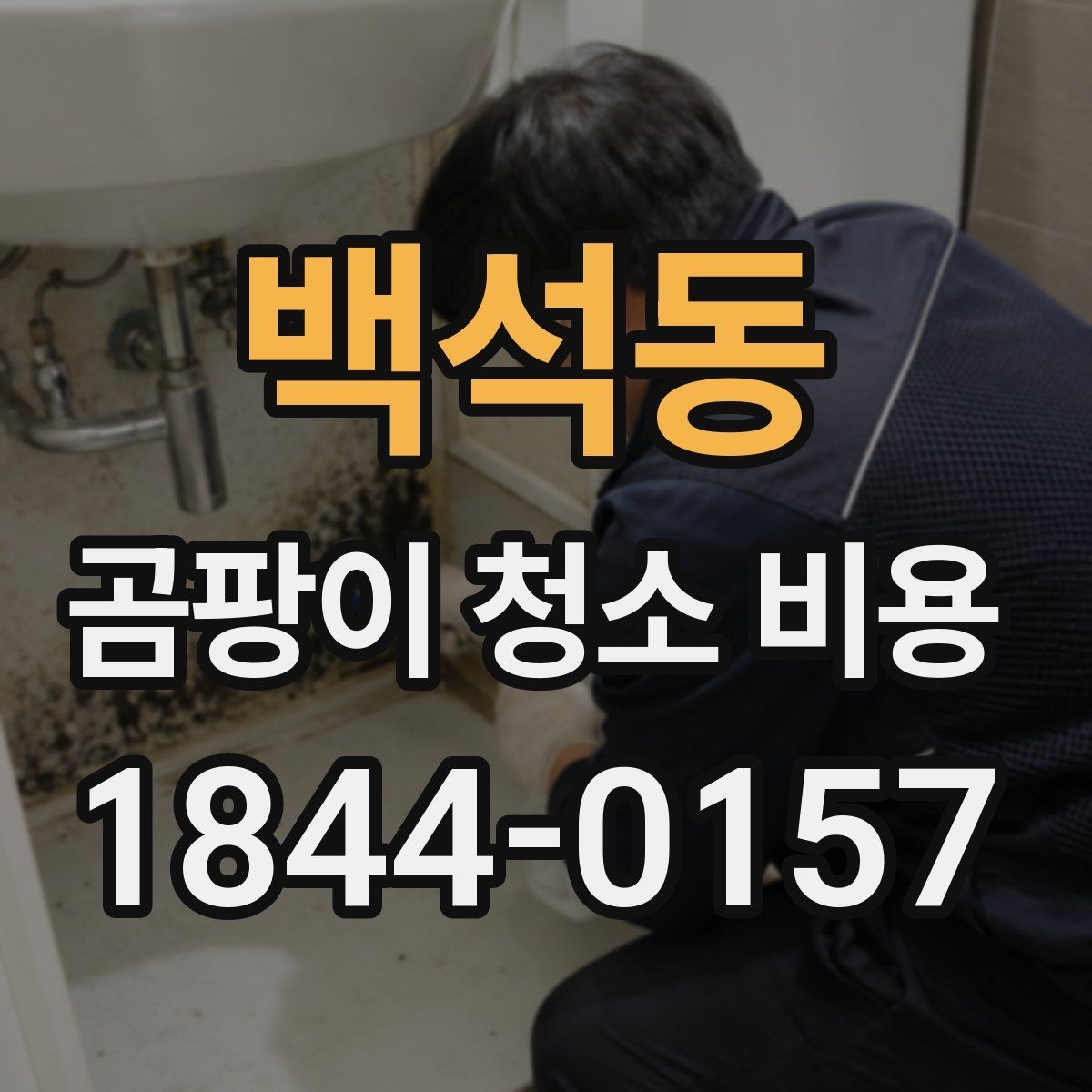 백석동 곰팡이 청소 비용 창고와 상가 뒷공간에서 달라지는 기준