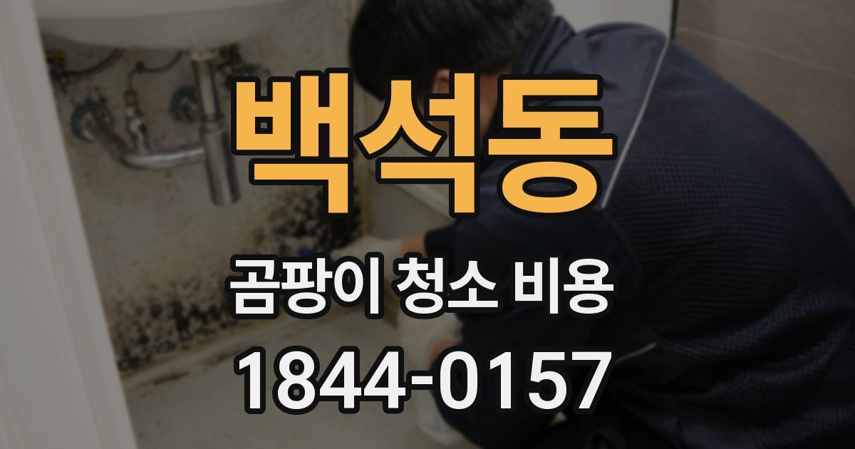 백석동 곰팡이 청소 비용