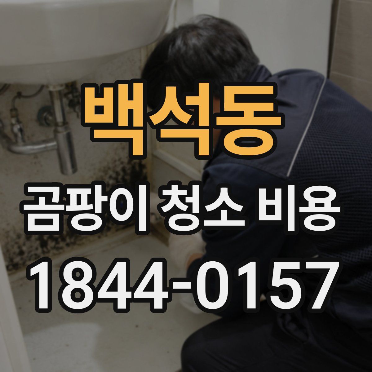 백석동 곰팡이 청소 비용