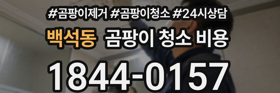 백석동 곰팡이 청소 비용