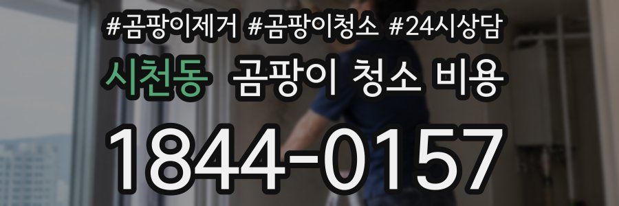 시천동 곰팡이 청소 비용