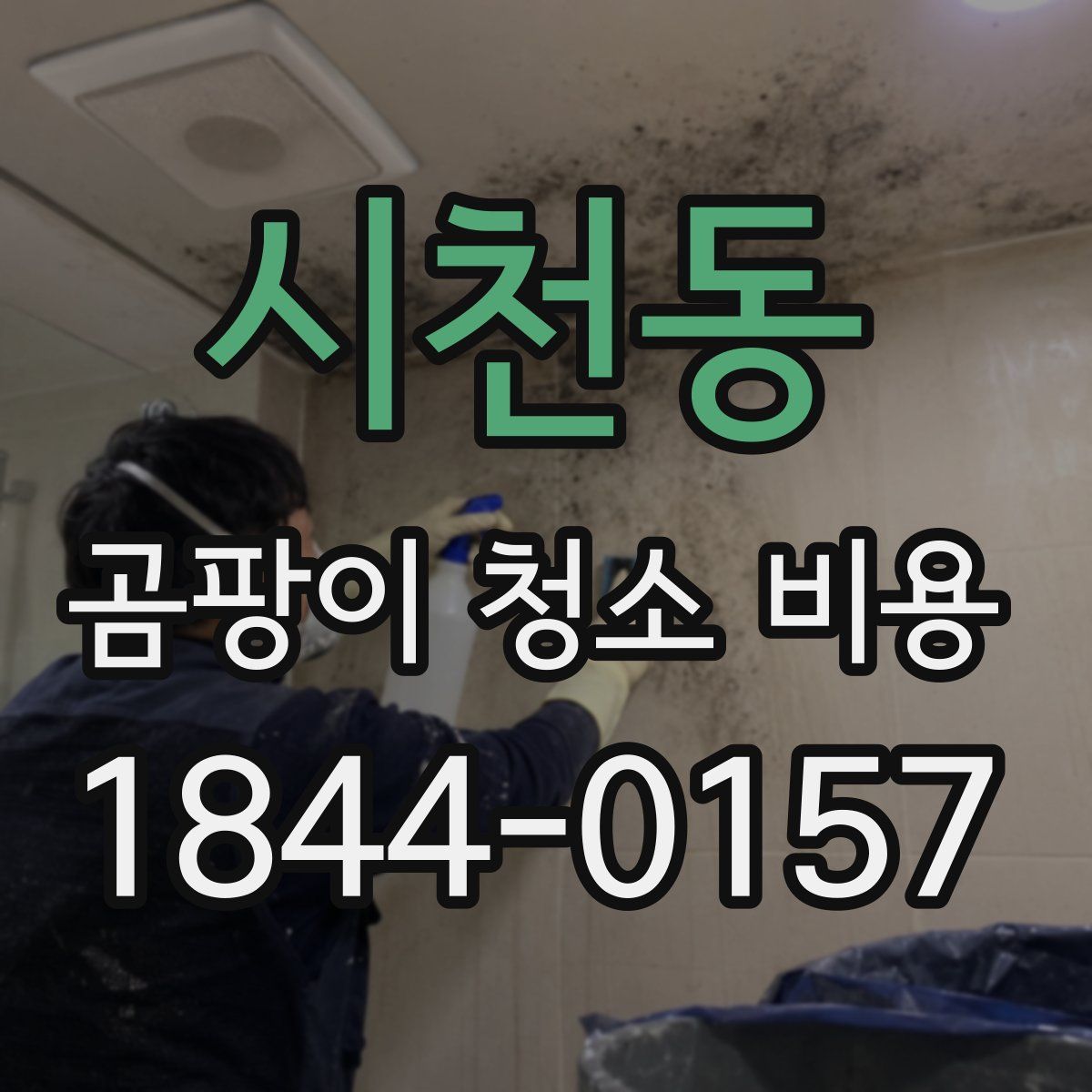 시천동 곰팡이 청소 비용