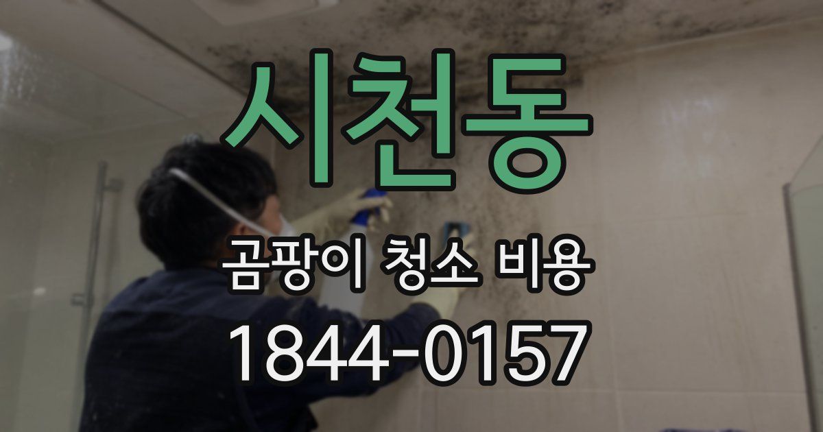 시천동 곰팡이 청소 비용