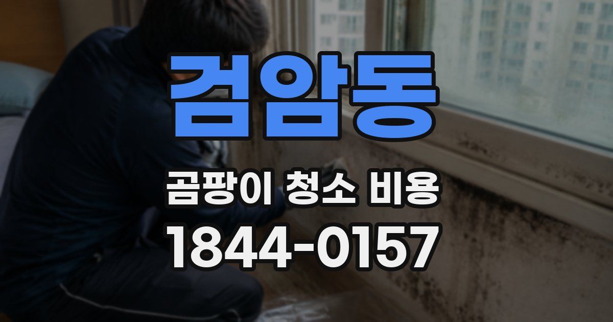 검암동 곰팡이 청소 비용