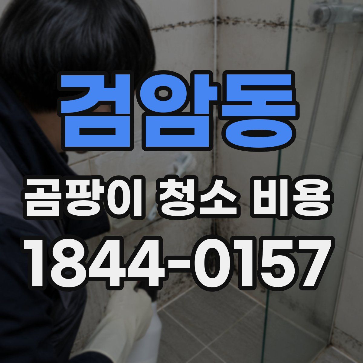 검암동 곰팡이 청소 비용