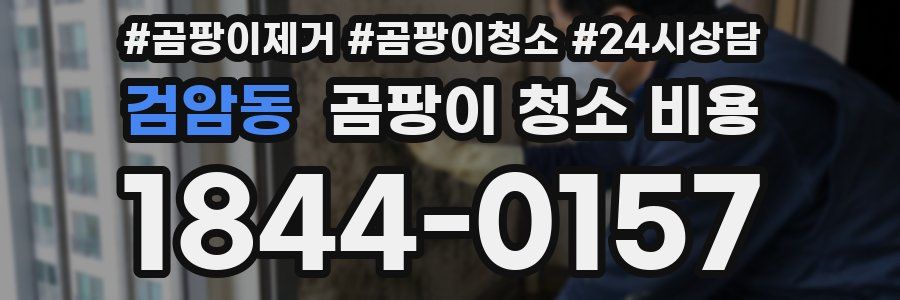 검암동 곰팡이 청소 비용