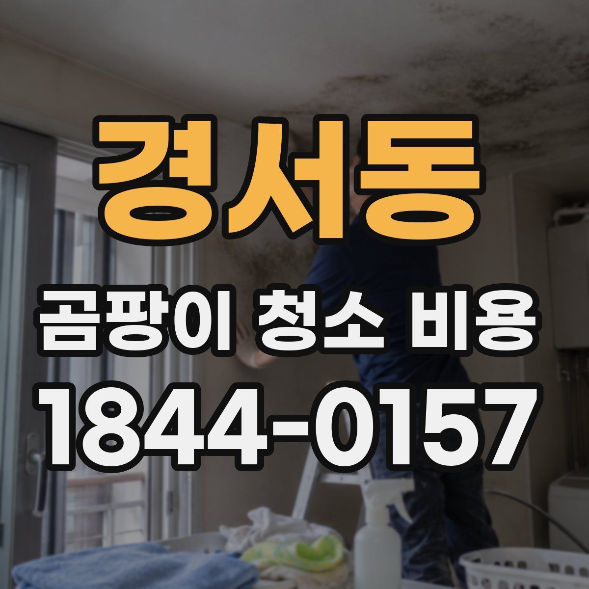 경서동 곰팡이 청소 비용