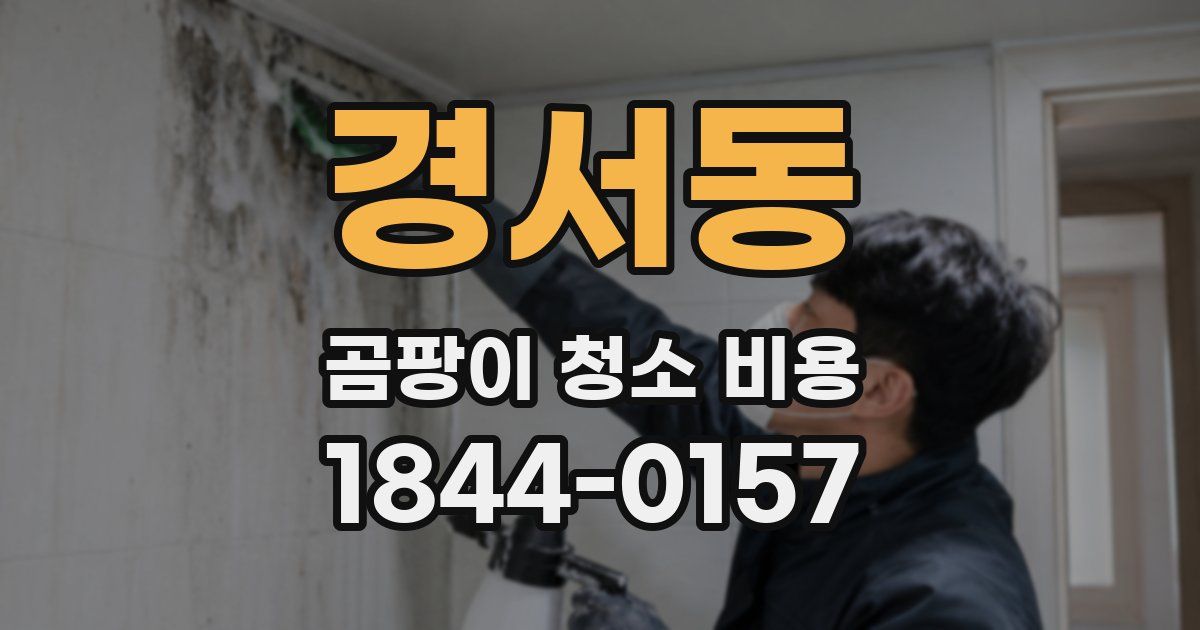 경서동 곰팡이 청소 비용