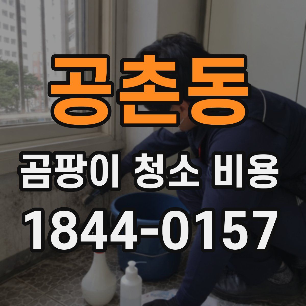 공촌동 곰팡이 청소 비용