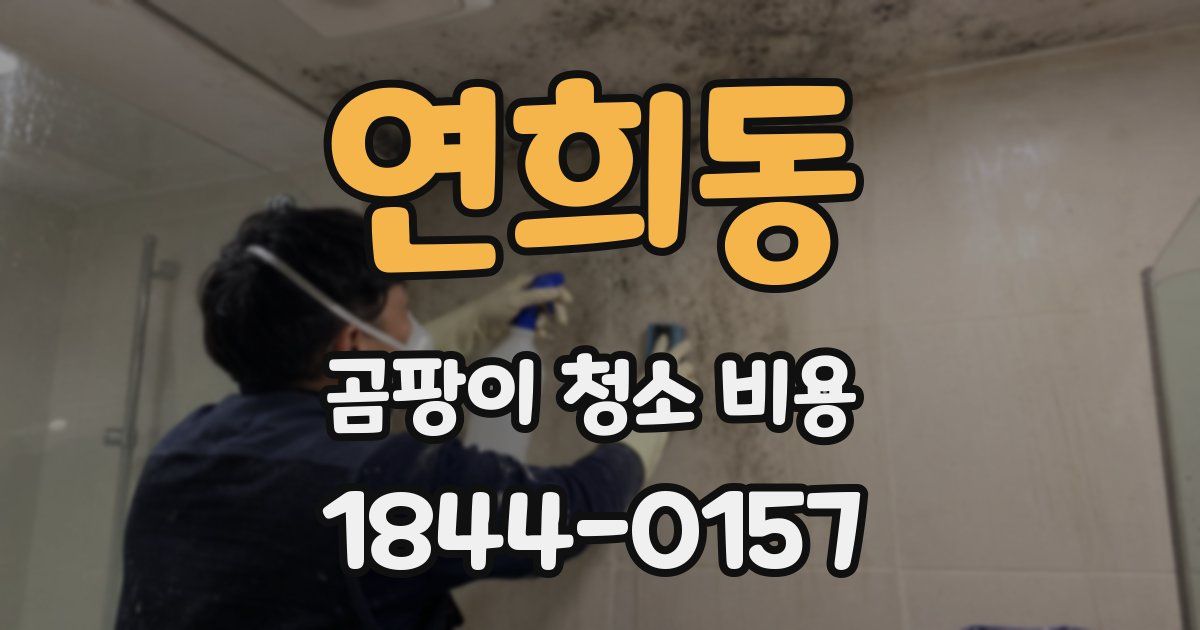 연희동 곰팡이 청소 비용