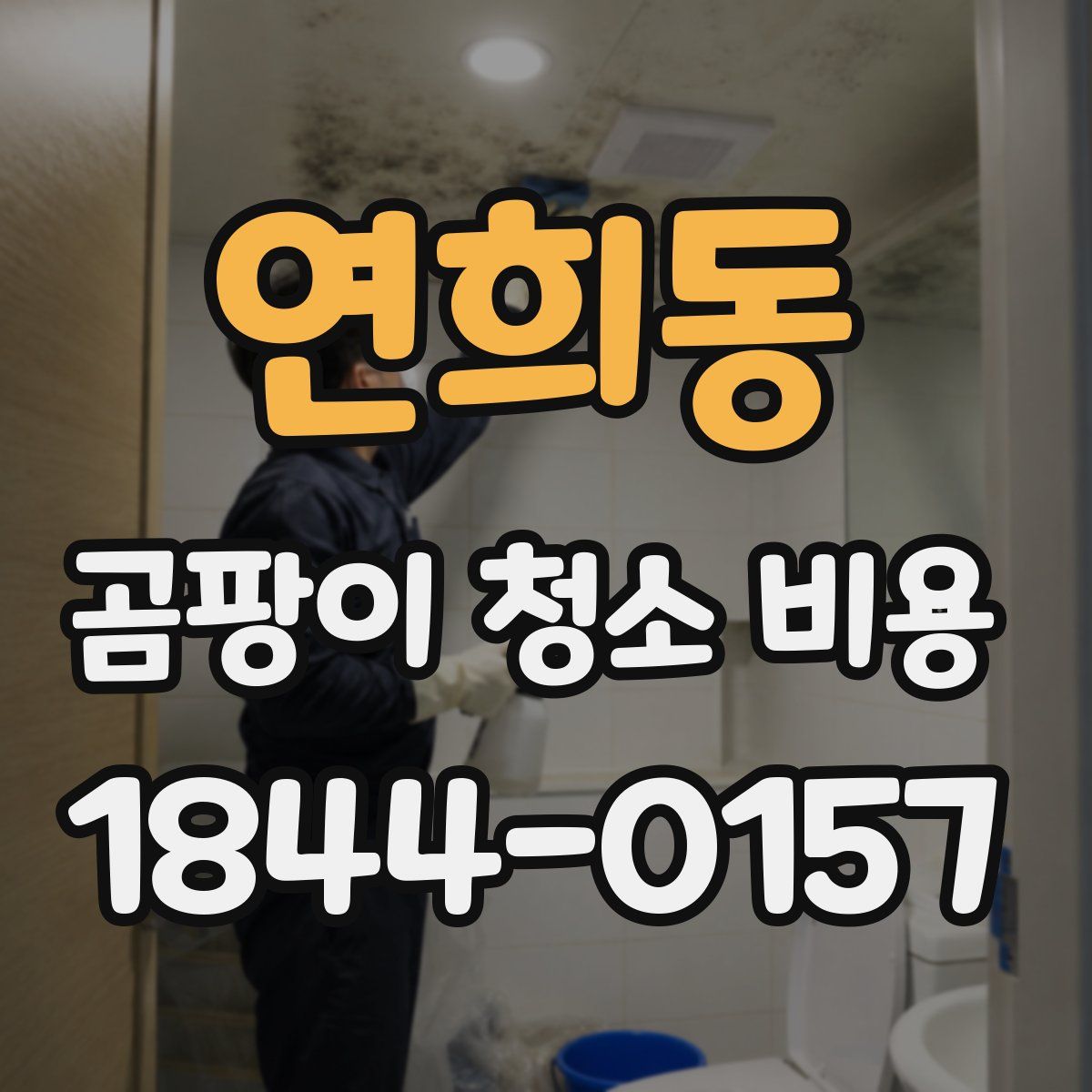 연희동 곰팡이 청소 비용