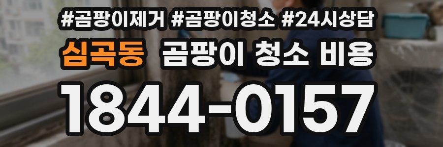 심곡동 곰팡이 청소 비용