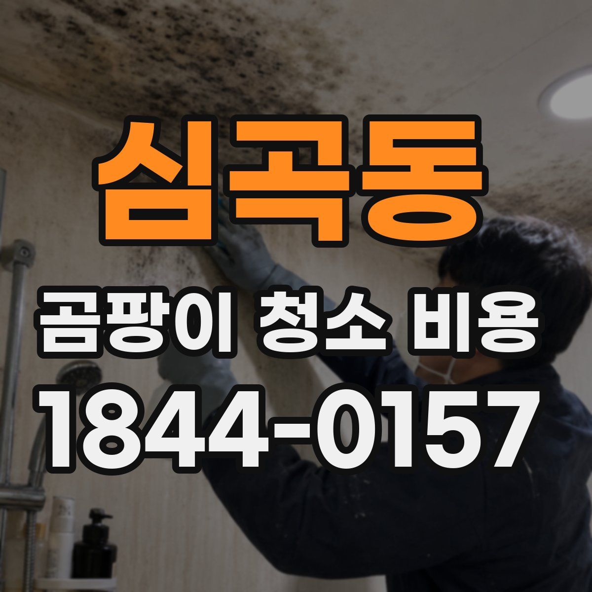 심곡동 곰팡이 청소 비용