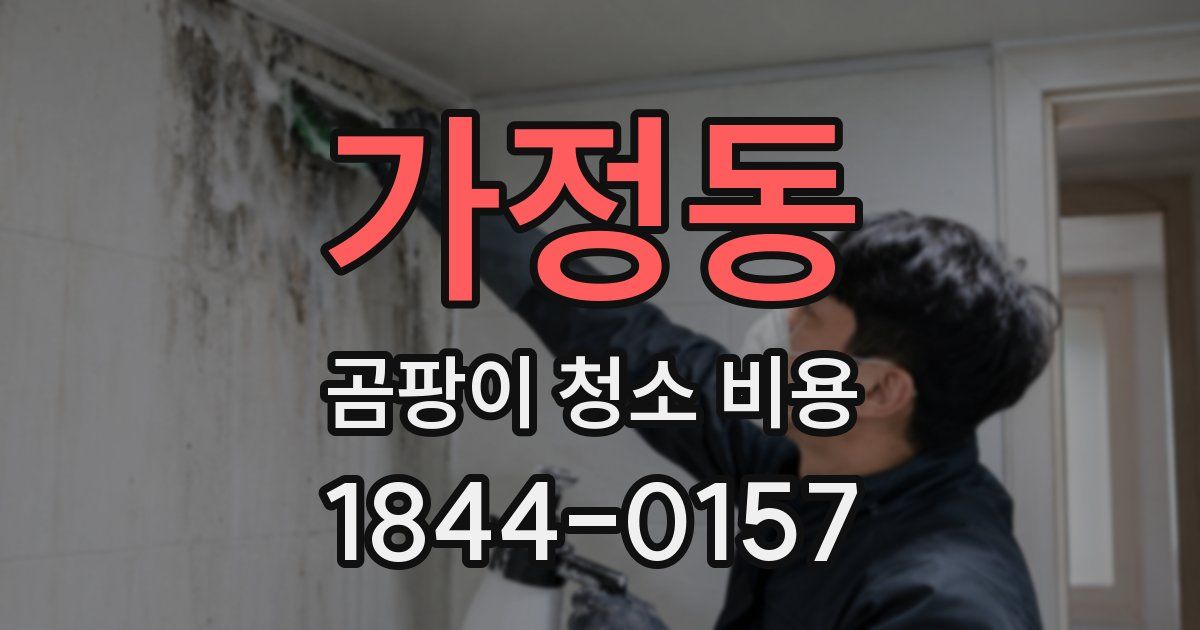가정동 곰팡이 청소 비용